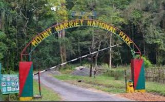 Mount-Harrie-National-Park